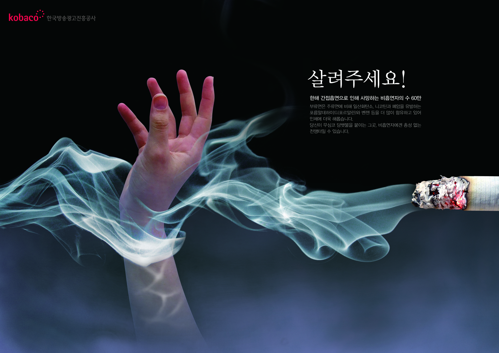 2013년 제48회 대한민국 디자인 전람회
